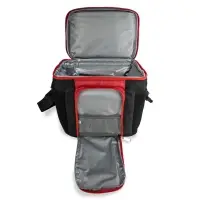 Термосумка AVS TC-10 (10 л.)