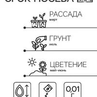 Семена цветов Камнеломка "Арендса Пурпурный ковер" 0,01 г