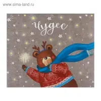 Упаковка для кондитерских изделий &laquo;Чудес&raquo;, 20 х 17 х 6 см