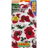 Семена Цветов Петуния "Малиновый каприз", F1, 7 шт. драже в пробирке, Семена Цветов Петуния "Малиновый каприз", F1, 7 шт. драже в пробирке,
