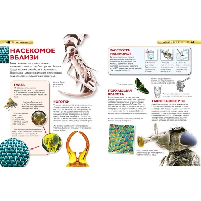 Детская энциклопедия «Микромир» Детская энциклопедия «Микромир»