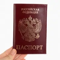 Обложка для паспорта, с гербом, тиснение фольгой, гладкая, бордовая