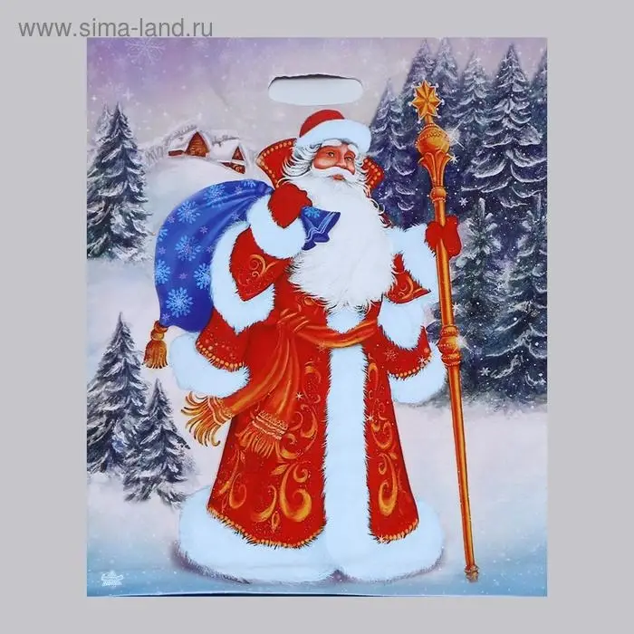 Пакет «Желанный гость», полиэтиленовый с вырубной ручкой, 47.5×39 см Пакет «Желанный гость», полиэтиленовый с вырубной ручкой, 47.5×39 см