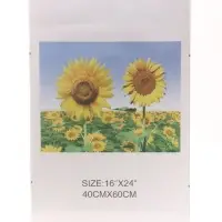 Фоторамка прозрачная для фото 40&times;60 см, &laquo;Клип&raquo;, пластиковый экран