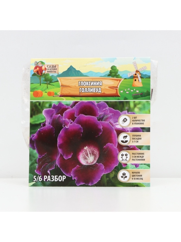 Глоксиния «Голливуд», многолетник, комнатный, луковица в пакете с перфорацией, р-р 5/6, 2 шт.