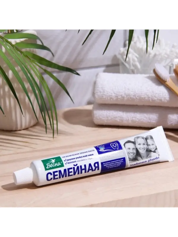 Зубная паста &laquo;Весна&raquo;, классическая, для всей семьи, 90 г