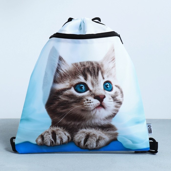 Мешок для обуви «Милый котик» 2 секции, 30×40 см Мешок для обуви «Милый котик» 2 секции, 30×40 см