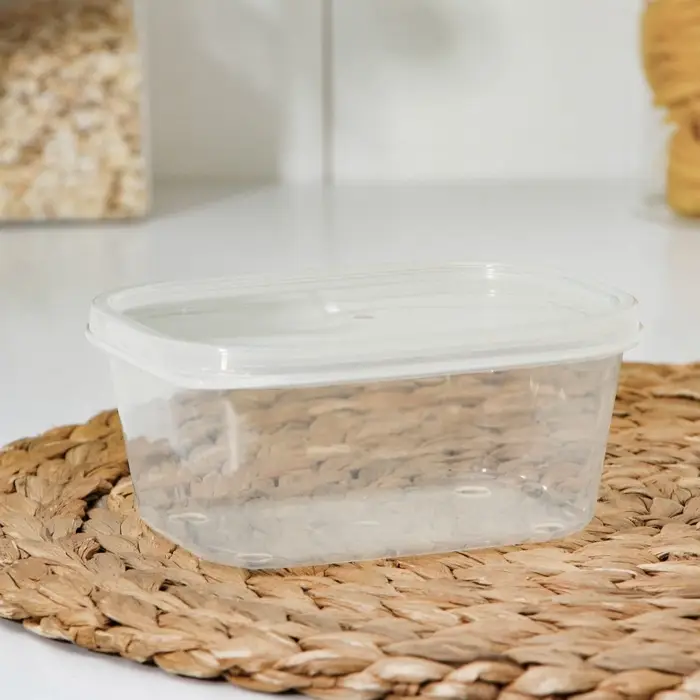 Контейнер пищевой Доляна, 500 мл, 13×10×5,5 см, прямоугольный, прозрачный Контейнер пищевой Доляна, 500 мл, 13×10×5,5 см, прямоугольный, прозрачный