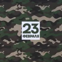Бумага упаковочная крафтовая белая &laquo;23 февраля хаки&raquo;, 50&times;70 см