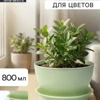 Горшок для цветов &laquo;Фиалочка&raquo;, 800 мл, d=14 см, h=8 см, пластиковый, зелёный