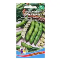 Семена Бобы "Челябинские 87", 6 шт Семена Бобы "Челябинские 87", 6 шт
