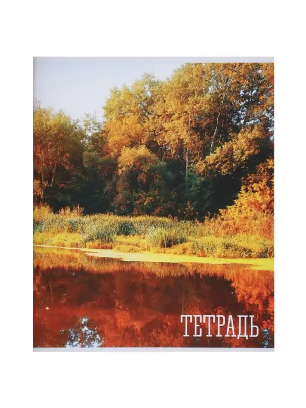 Комплект тетрадей, 48 листов в клетку, Calligrata &laquo;Времена года&raquo;, серые листы, 4 штуки