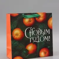 Пакет подарочный &laquo;С Новым годом&raquo;, мандарины, 30&times;30&times;12 см