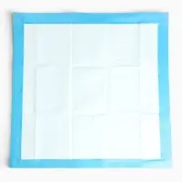 Пеленки впитывающие &laquo;Мой выбор&raquo;, 60&times;60 см, целлюлозные, набор 30 шт., с наклейкой
