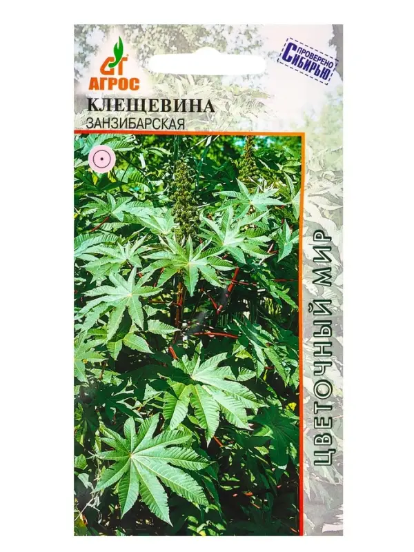 Семена Клещевина Семена Клещевина "Занзибарская" 4 шт