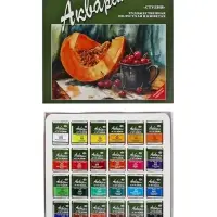 Акварель художественная в кюветах &laquo;Гамма. Студия&raquo;, 24 цвета &times; 2.5 мл