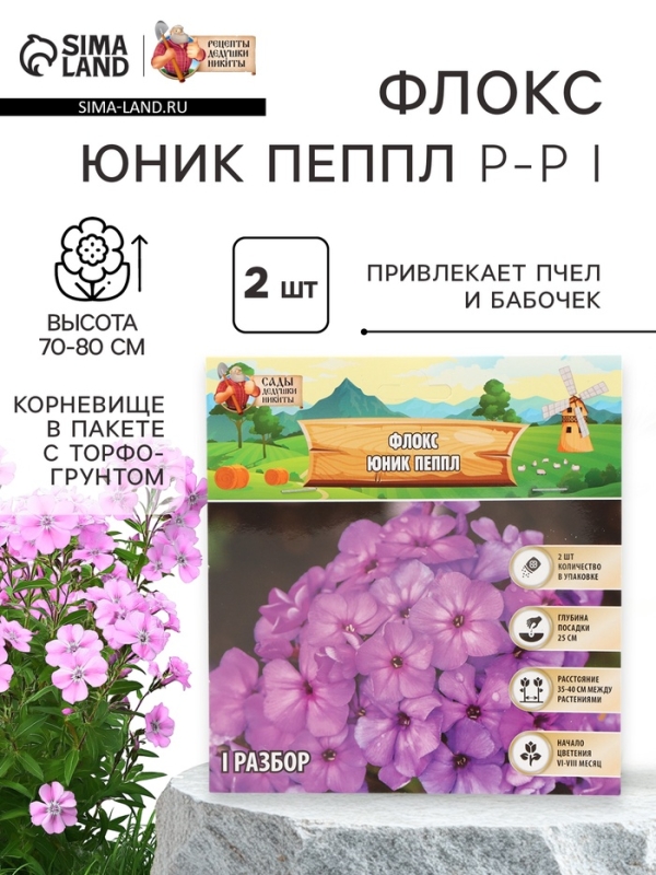 Флокс «Юник Пеппл» корневище в пакете с торфогрунтом, р-р I, 2 шт.