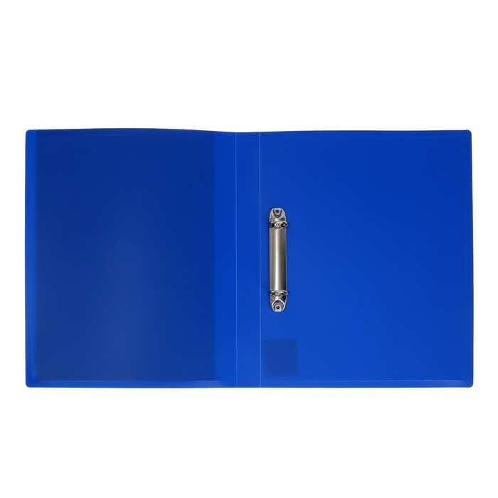 Папка-портфолио А4, Calligrata  Папка-портфолио А4, Calligrata "Лучшие друзья", пластиковая, на 2 кольцах, для дошкольника, без вкладышей