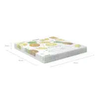 Тетрадь 18 листов в клетку ErichKrause «Яркие дольки», обложка мелованный картон, МИКС Тетрадь 18 листов в клетку ErichKrause «Яркие дольки», обложка мелованный картон, МИКС