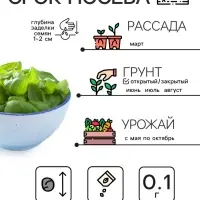 Семена Базилик &laquo;Зелёный ароматный&raquo;, 0.1 г, среднеранний, &laquo;Рецепты дедушки Никиты&raquo;