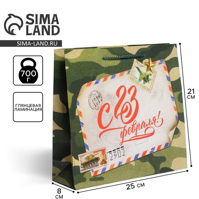 Пакет подарочный ламинированный горизонтальный, упаковка, «С 23 февраля», ML 25 х 21 х 8 см