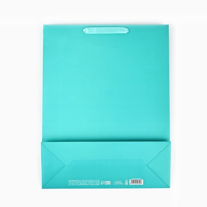 Пакет ламинированный вертикальный «С Днём рождения», глиттер, L 40 х 31 х 11.5 см Пакет ламинированный вертикальный «С Днём рождения», глиттер, L 40 х 31 х 11.5 см