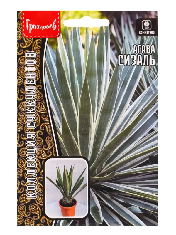 Семена цветов Агава Сизаль 10шт. 12.29 г.