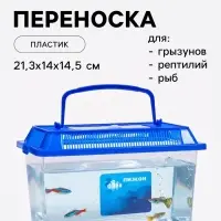 Переноска прямоугольная, 21.3&times;14&times;14.5 см, синий