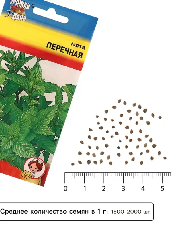 Семена Мята &laquo;Перечная&raquo;, 0.03 г, &laquo;Урожай удачи&raquo;