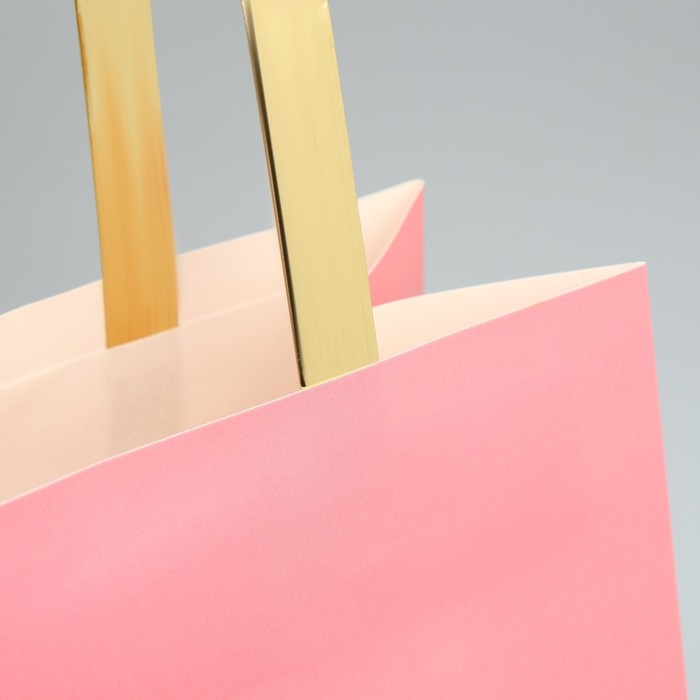 Пакет подарочный, упаковка, «Для тебя», ML 23 х 27 х 11.5 см Пакет подарочный, упаковка, «Для тебя», ML 23 х 27 х 11.5 см