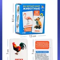 Магнитные карточки по методике Домана «Животные», 32 карты, 3+ Магнитные карточки по методике Домана «Животные», 32 карты, 3+