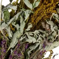 Веник для бани и сауны &laquo;Травяной коктейль&raquo;, 45 (&plusmn;5) см, донник, мята, шалфей, душица, полынь, пижма