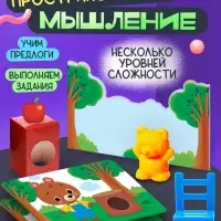 Развивающий набор &laquo;Пространственное мышление&raquo;