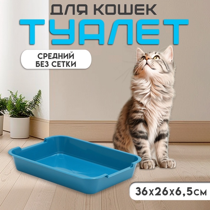 Туалет средний без сетки 36 х 26 х 6,5 см, синий Туалет средний без сетки 36 х 26 х 6,5 см, синий