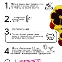 Семена Виола "Майя Виттрока", ц/п,  0,05 г
