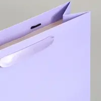 Пакет подарочный, упаковка, &laquo;Сиреневый&raquo;, M 25.5&times;30&times;9 см