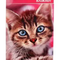 Блокнот А6, 40 листов в клетку на скрепке «Котята и щенята», обложка мелованный картон, МИКС