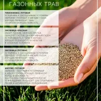 Газонная травосмесь &laquo;Мавританский&raquo;, 100 г