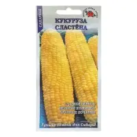 Семена Кукуруза "Сластена сахарная", 5 г