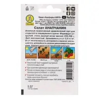 Семена Салат "Анапчанин" полукочанный "Лидер", 0,5 г , Семена Салат "Анапчанин" полукочанный "Лидер", 0,5 г ,