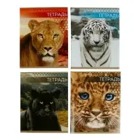 Тетрадь 48 листов в клетку, Calligrata «Дикие кошки», обложка мелованная бумага, МИКС Тетрадь 48 листов в клетку, Calligrata «Дикие кошки», обложка мелованная бумага, МИКС