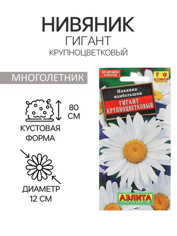 Семена цветов Нивяник  Семена цветов Нивяник "Гигант", крупноцветковый, Ц/П, 0,5 г