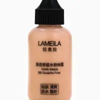 BB крем для лица Lameila оттенок 01, 50 мл (Слоновая кость)