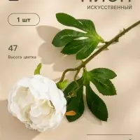 Цветы искусственные &laquo;Пышный пион&raquo;, 7&times;47 см, белые
