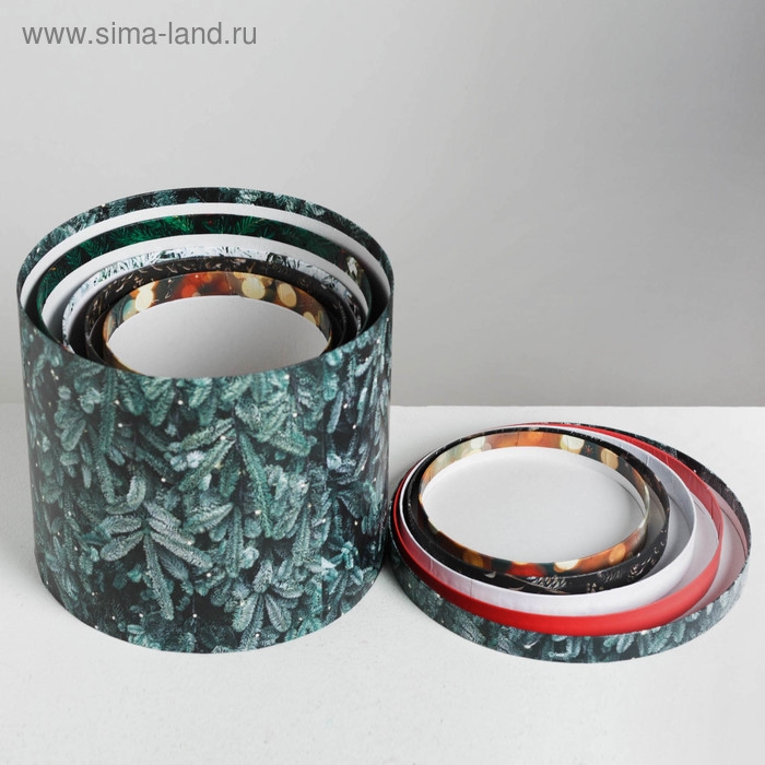 Набор подарочных коробок 5 в 1 «Новогоднее фото», 13 х 14‒19.5 х 22 см, Новый год