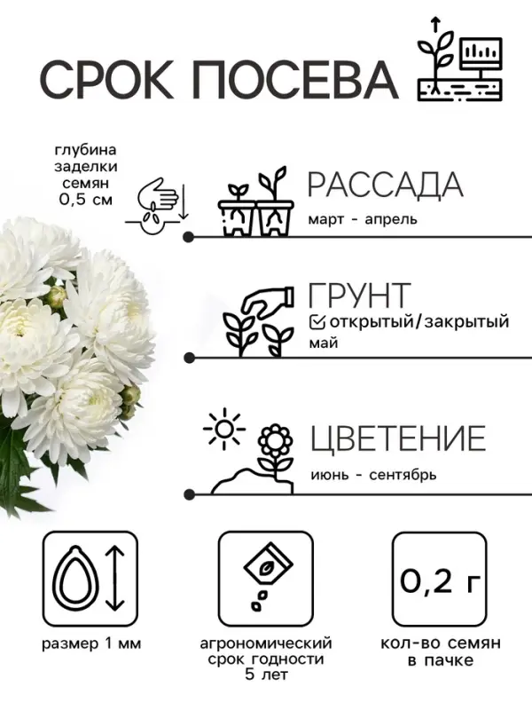 Семена цветов Астра пионовидная &laquo;Белая башня&raquo;, 0.2 г, &laquo;Рецепты дедушки Никиты&raquo;