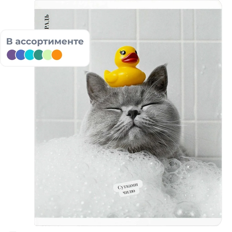 Тетрадь 48 л, клетка   КОТ С УТКОЙ А5+, в ассорт/70924
