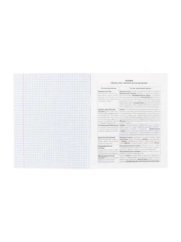 Предметная тетрадь по биологии Hatber &laquo;Приключения кота Пирожка&raquo;, 48 листов, в клетку, со справочным материалом, обложка из мелованной бумаги