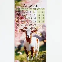 Календарь 2027 на ригеле &laquo;Символ года&raquo;, 16.5&times;34 см