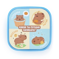 Ланч - бокс квадратный с секциями «Капибара», 14,5 х 6 см